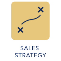 SALES-STRATEGY